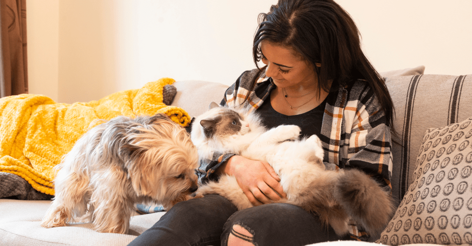 Woman sat on sofa with her pets