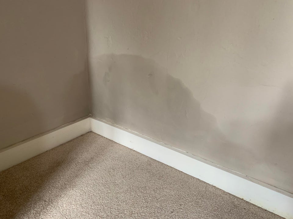 How do I know if I have damp? 